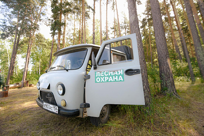 «Единая Россия» усилит систему лесоохраны