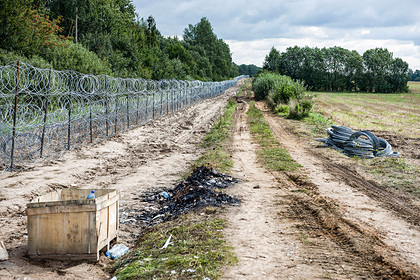 Польша нашла мертвых нелегалов на границе и заподозрила Белоруссию в провокации