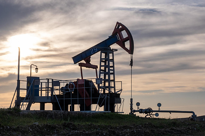 Назван срок исчерпания запасов нефти и газа в России