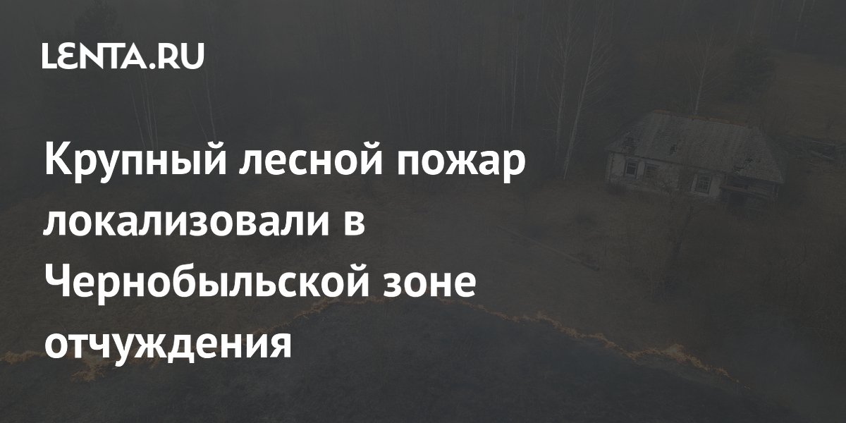 � ������������� ���� ���������� ����������� ������� ������ �����