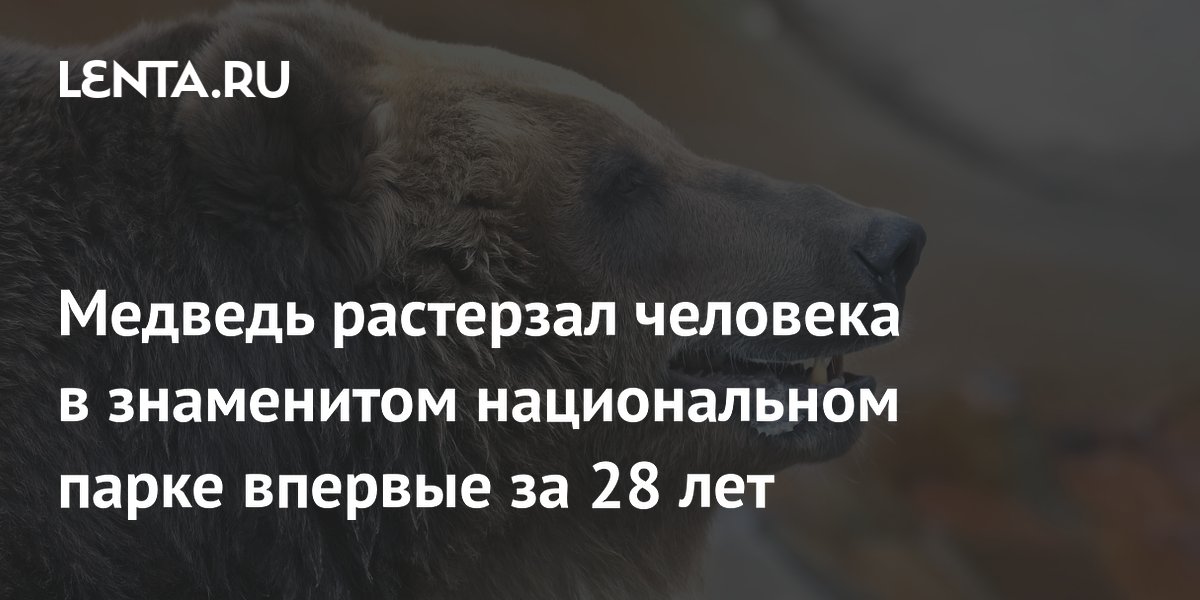 Медведь убил туриста в национальном парке Глейшер впервые за 28 лет