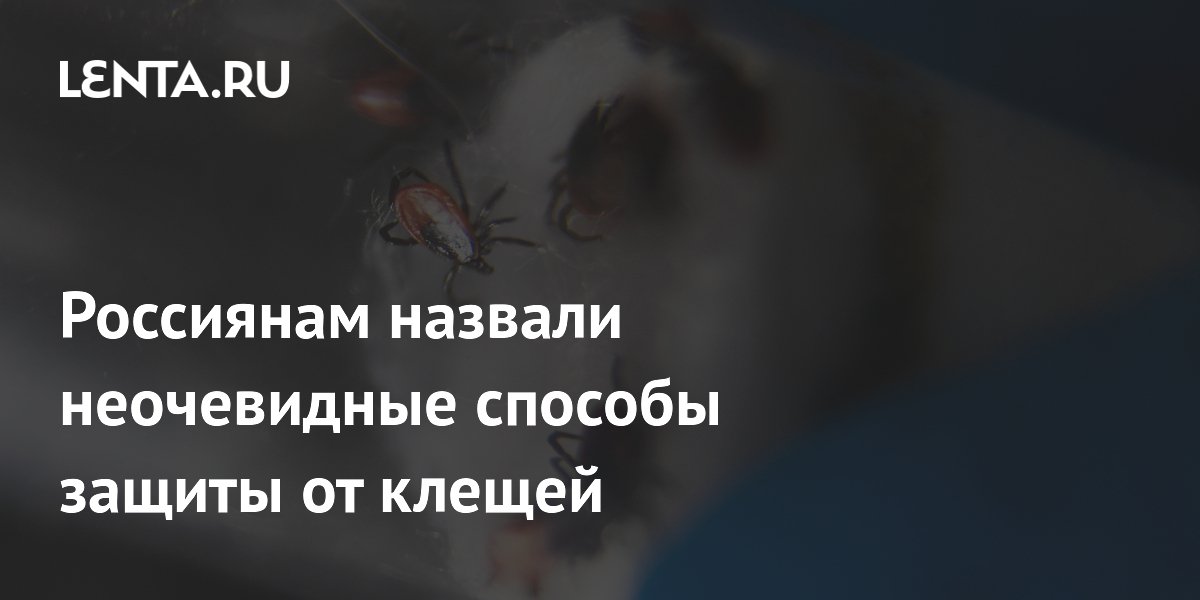 ����� � ������� �����: ���� ������ ����������� ������� ������ �� ������