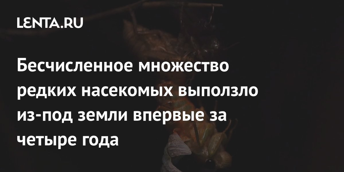 � ����� ������� �� ������ ���� ��-��� ����� ����� ������ ������