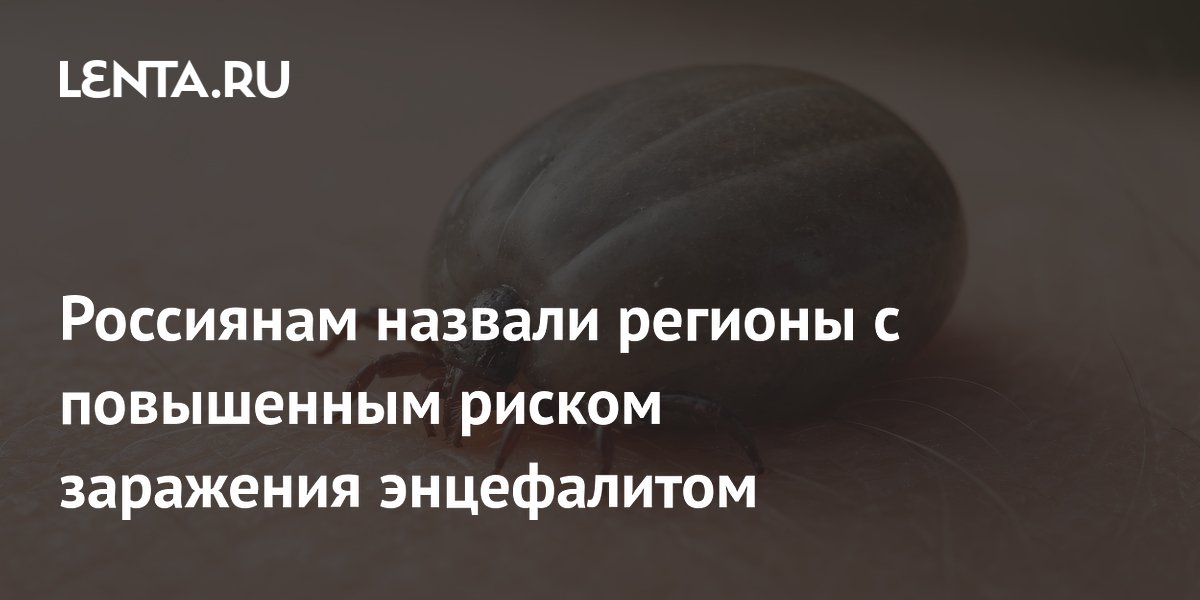 ��������������� ������ 49 �������� � ���������� ������ ����������: ������ ������