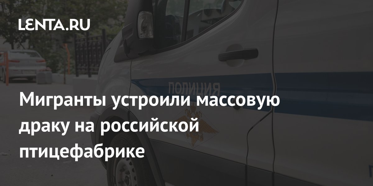 Массовая драка мигрантов на птицефабрике в Ленобласти: 20 пострадавших