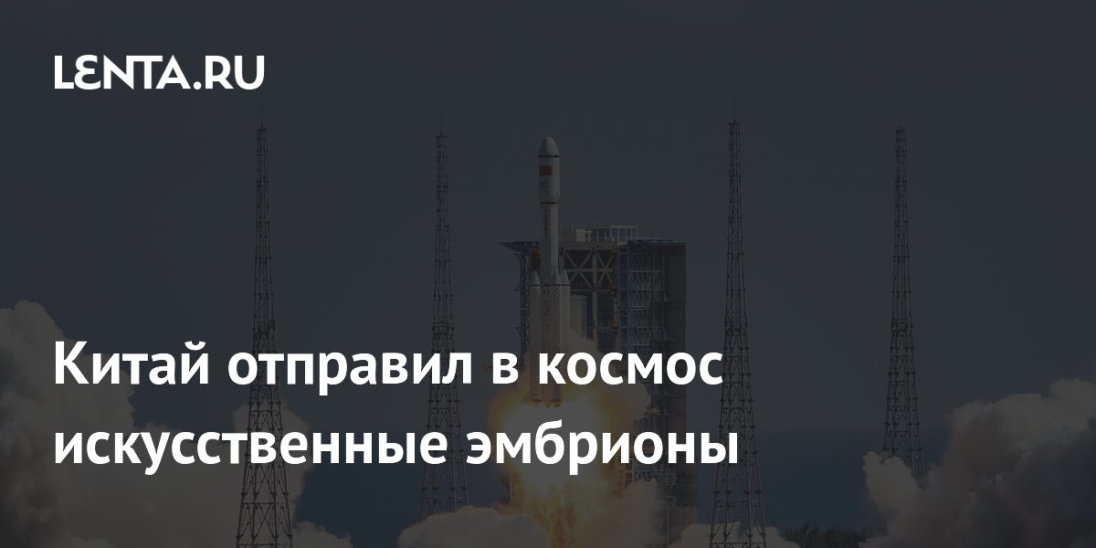 Китай отправил в космос искусственные эмбрионы: зачем это нужно