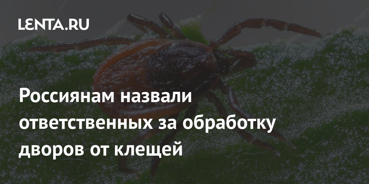 УК не обязана травить клещей во дворе: как добиться обработки территории