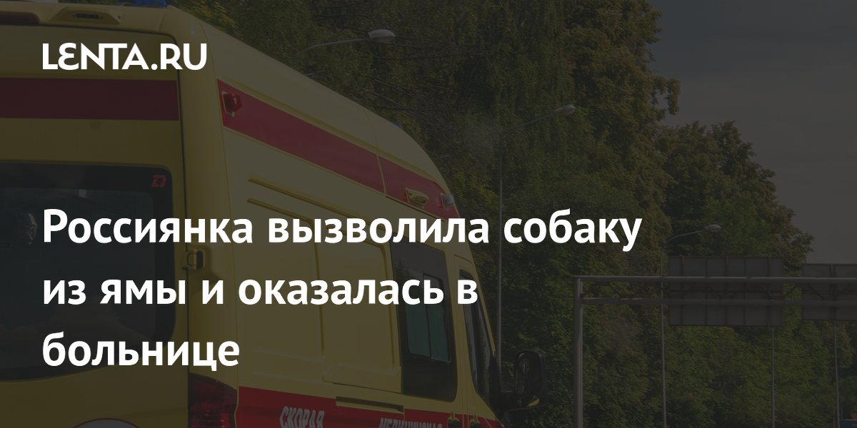 Россиянка сломала ребра, спасая собаку из ямы в Нижегородской области