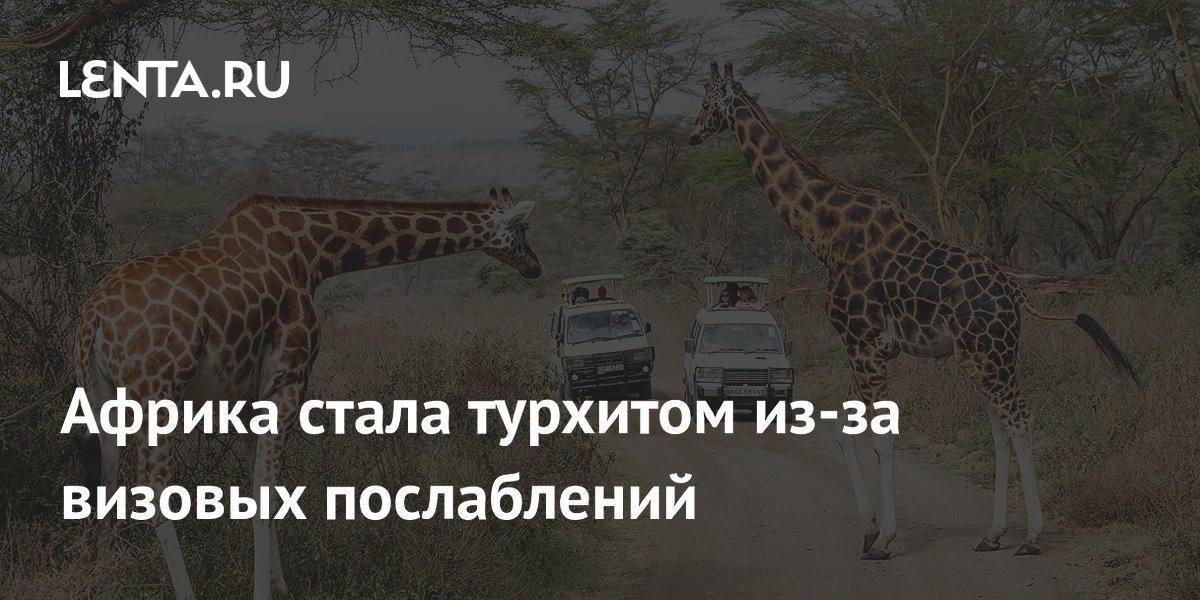 Африка стала турхитом: визовые послабления привлекли 80 млн туристов в 2025 году