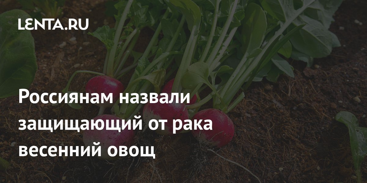 Врач назвал весенний овощ, снижающий риск рака на 32%