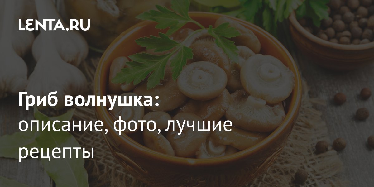 ���� ��������: ����������� ������������� � ������ �������