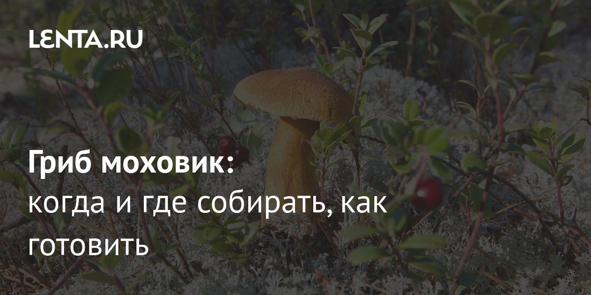 �������: ��� �������� ��������� ����, ������� � ������ �����������
