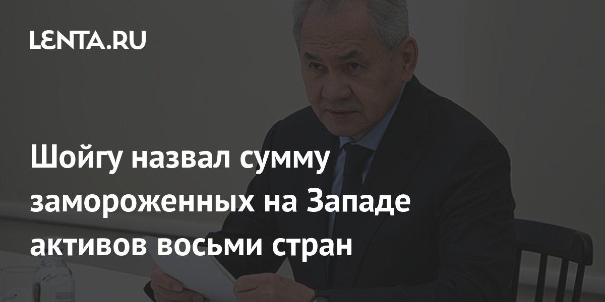 Сергей Шойгу оценил замороженные Западом активы в 590 млрд долларов