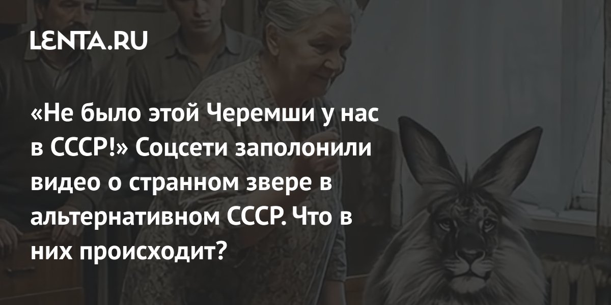 ������� � ����� ��� � TikTok: ��� �� �����, ������ ������ � ������ � ��� �������