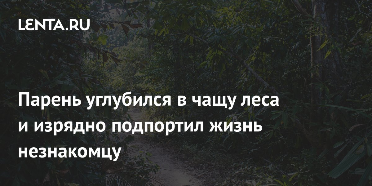 �������� ������� � ����: ������� �������� ���� ���������� ��������� ��������