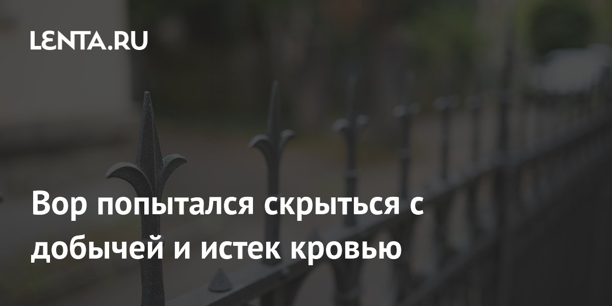 В ЮАР вор погиб, напоровшись на забор с шипами при краже В ЮАР вор погиб, напоровшись на забор с шипами при краже