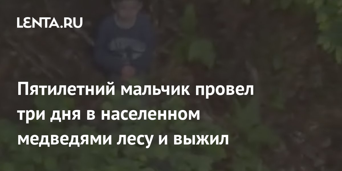 Пятилетний мальчик выжил трое суток в лесу с медведями в Румынии Пятилетний мальчик выжил трое суток в лесу с медведями в Румынии