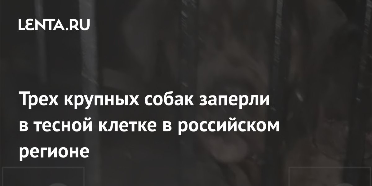 � ���������� ���� ����� ����-����� ����� ��������� � ������ ������