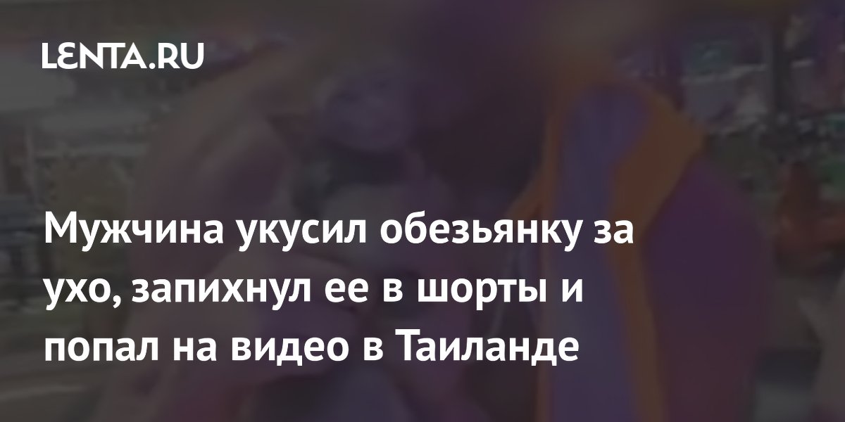 Иностранец укусил обезьянку за ухо и запихнул в шорты: полиция Таиланда не предъявила обвинений Иностранец укусил обезьянку за ухо и запихнул в шорты: полиция Таиланда не предъявила обвинений