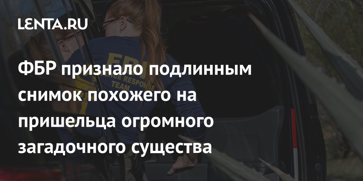 ��� ����������� ����������� ���� ����������� �������� �� �������