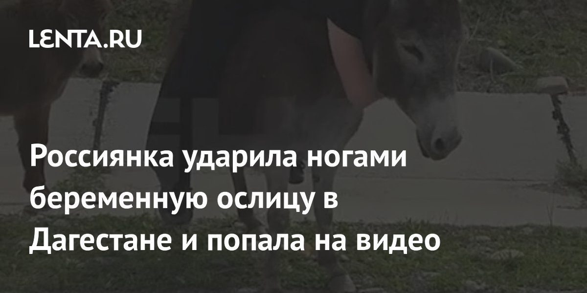 �������� � ��������� ������� ���������� ������ � ������ �� �����