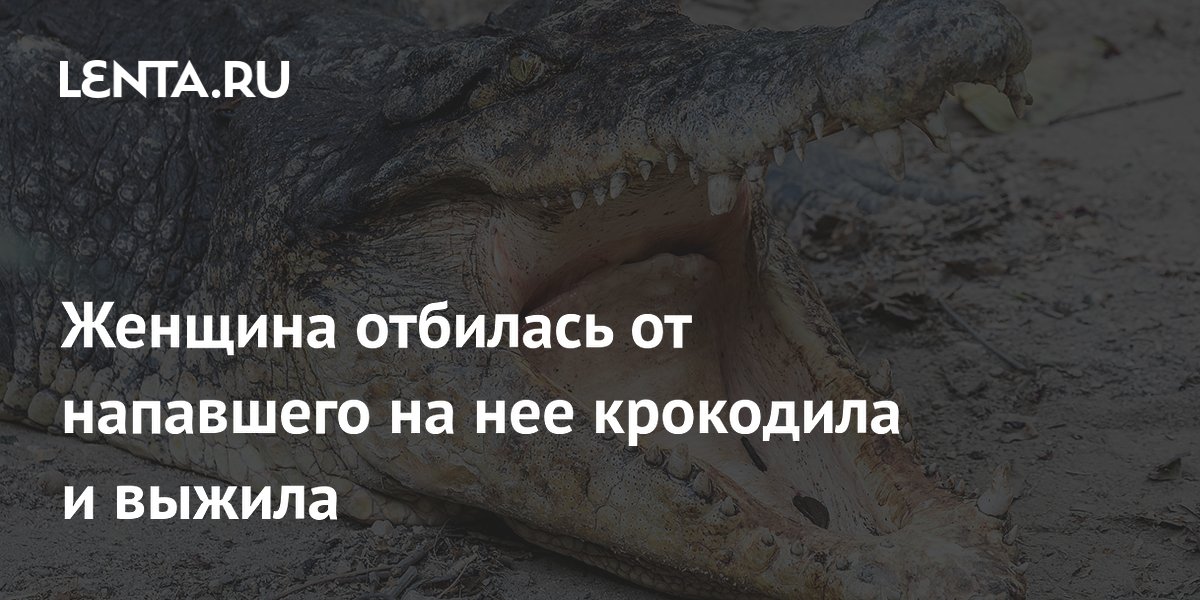 Женщина в Зимбабве выжила после нападения крокодила: удар по глазам спас жизнь Женщина в Зимбабве выжила после нападения крокодила: удар по глазам спас жизнь