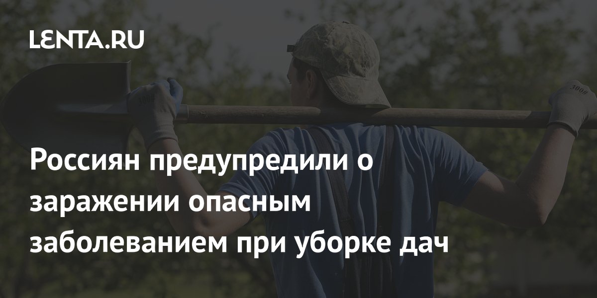 Врач предупредила о риске заражения хантавирусом при уборке дачи
