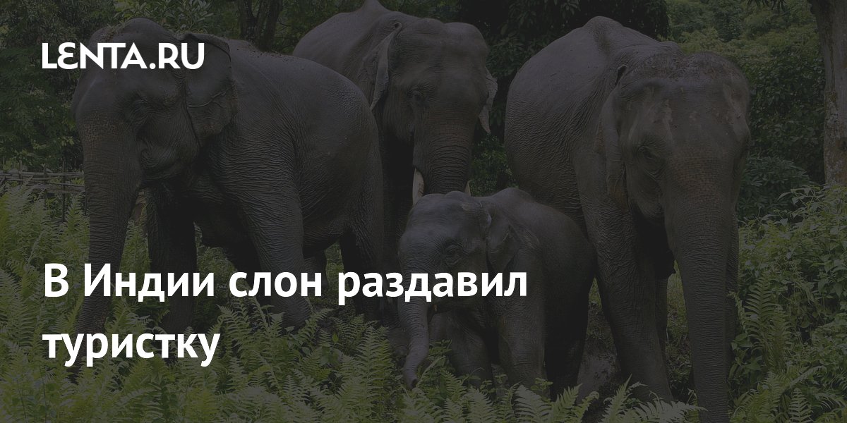� ����� ���� �������� ��������: ��� ��������� ��������