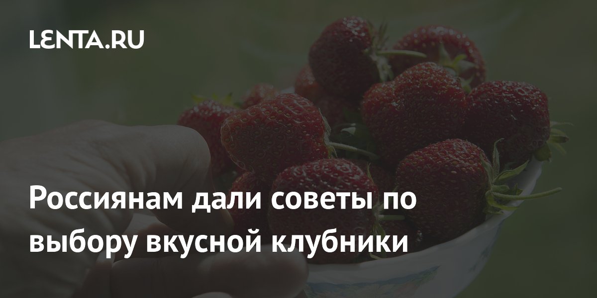 ������ ��������: ��� ������� ������� � ���������� ��������
