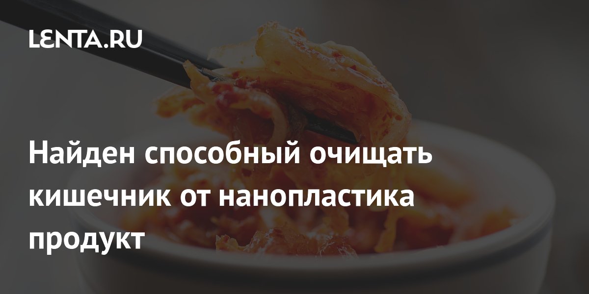 Ученые нашли в кимчи бактерию, очищающую кишечник от нанопластика