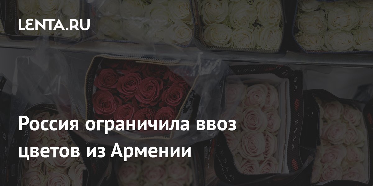 ������ � 22 ��� ���������� ���� ������ �� ������� ��-�� ���������