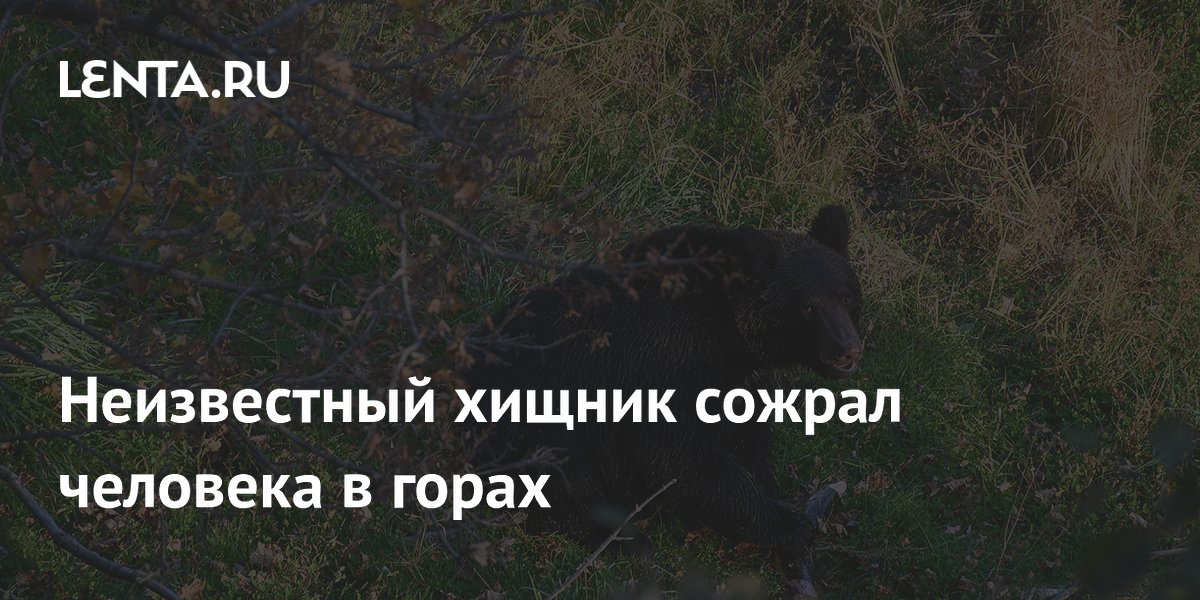 ��� �������� ������� � �������� � �����: ����� �������� ��� �����