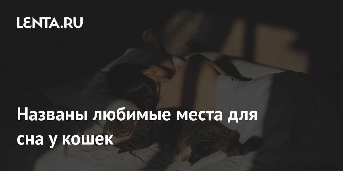 Кошки предпочитают спать на голове хозяина, батарее или в шкафу