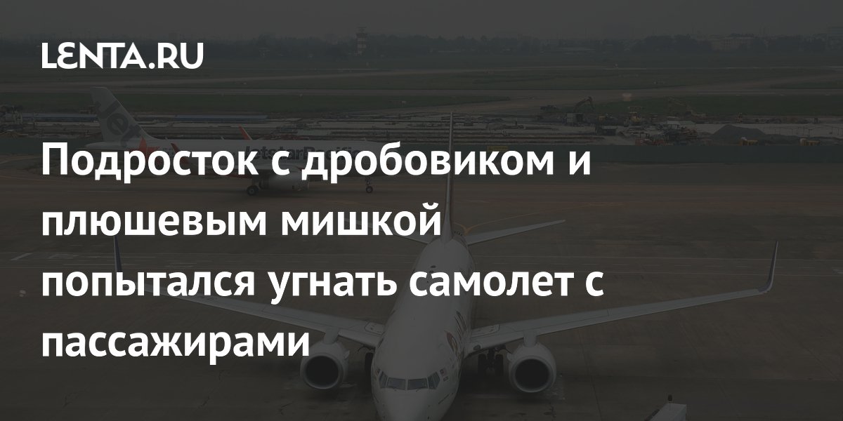 Подросток с дробовиком и плюшевым мишкой пытался угнать самолет в Австралии Подросток с дробовиком и плюшевым мишкой пытался угнать самолет в Австралии
