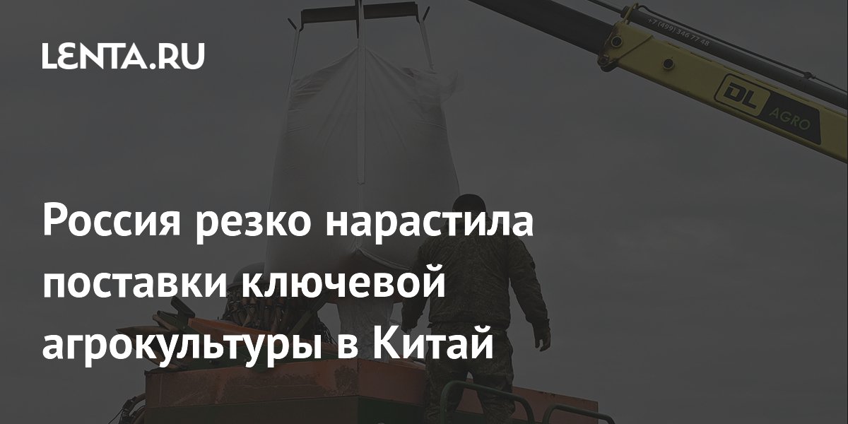 Россия почти втрое нарастила экспорт пшеницы в Китай в 2026 году Россия почти втрое нарастила экспорт пшеницы в Китай в 2026 году
