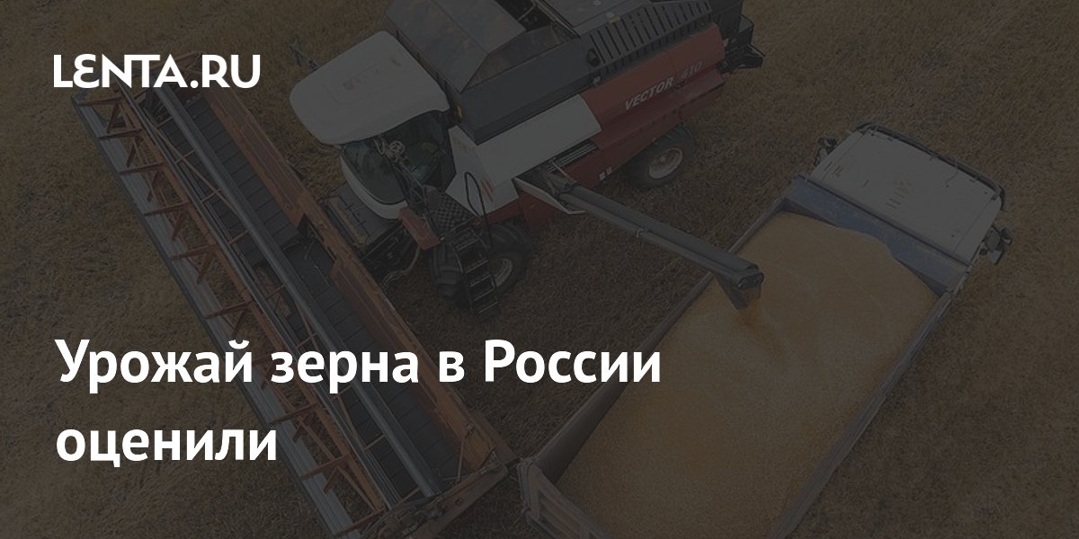 Урожай зерна в России вырос до 144,6 млн тонн — плюс 11% Урожай зерна в России вырос до 144,6 млн тонн — плюс 11%