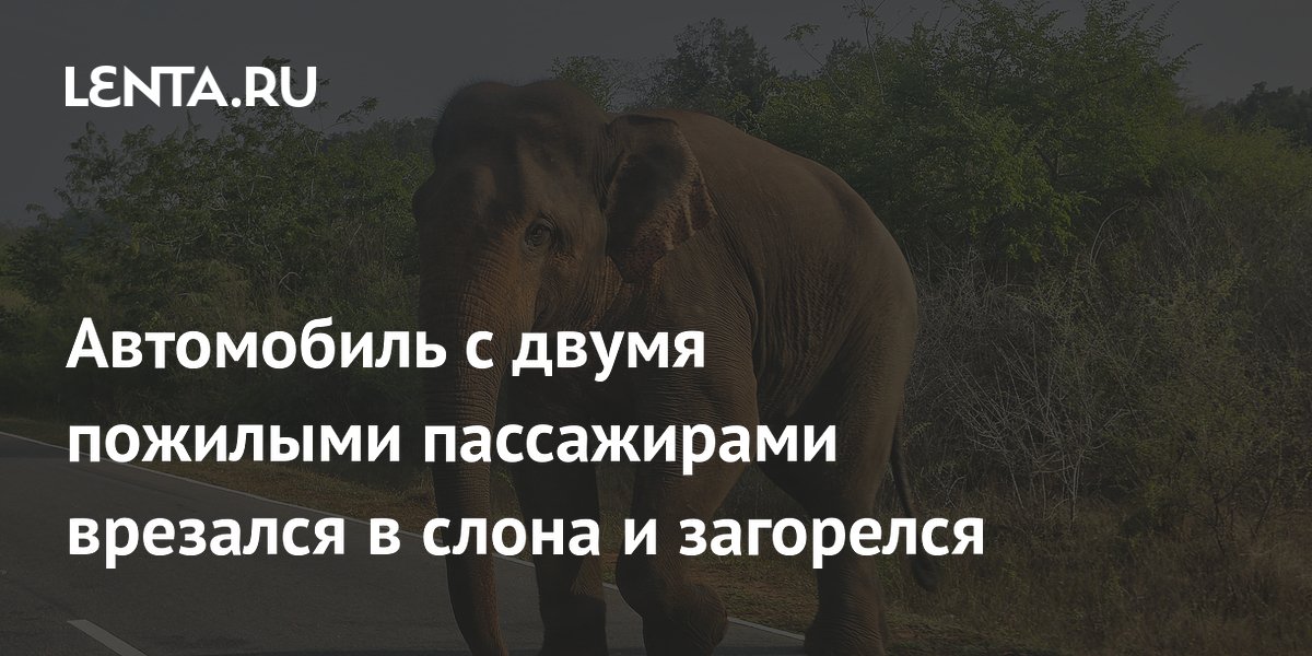 � �������� ���������� �������� � ����� � ���������: ���� �����