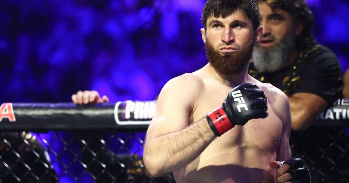 Магомед Анкалаев и Халил Раунтри возглавят UFC Fight Night в Абу-Даби 25 июля