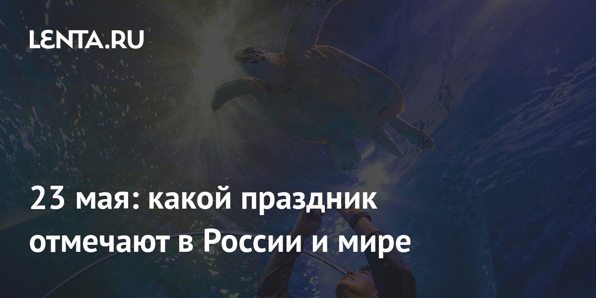 День спортивной борьбы и День черепах: какие праздники отмечают 23 мая