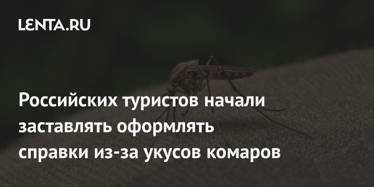 � ������ � �������� ������� 120 ���� �� ������� �� ������ �������