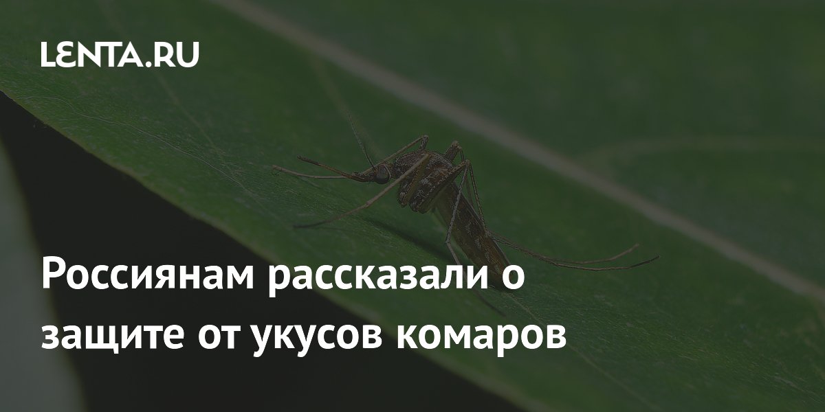 ��������������� ����������� � ����� ��������� ���������� ��������� ���� �� �������