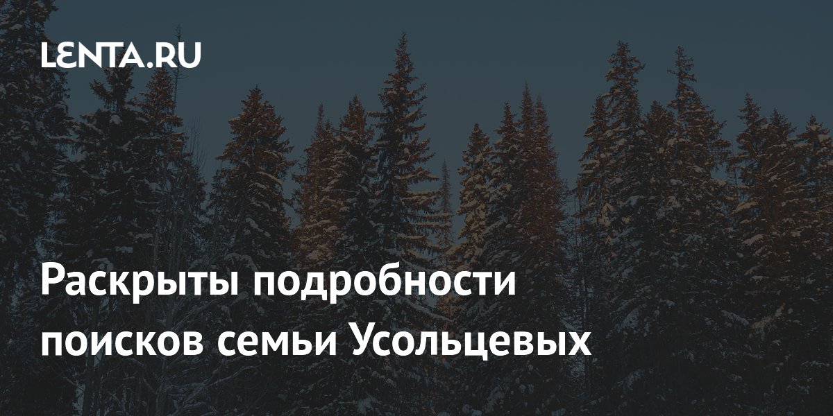 Спасатели прошли 6 км тайги в поисках семьи Усольцевых под Красноярском