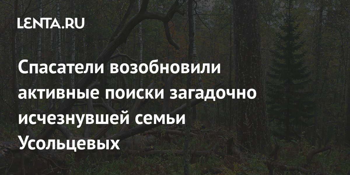 Спасатели возобновили поиски пропавшей в тайге семьи Усольцевых