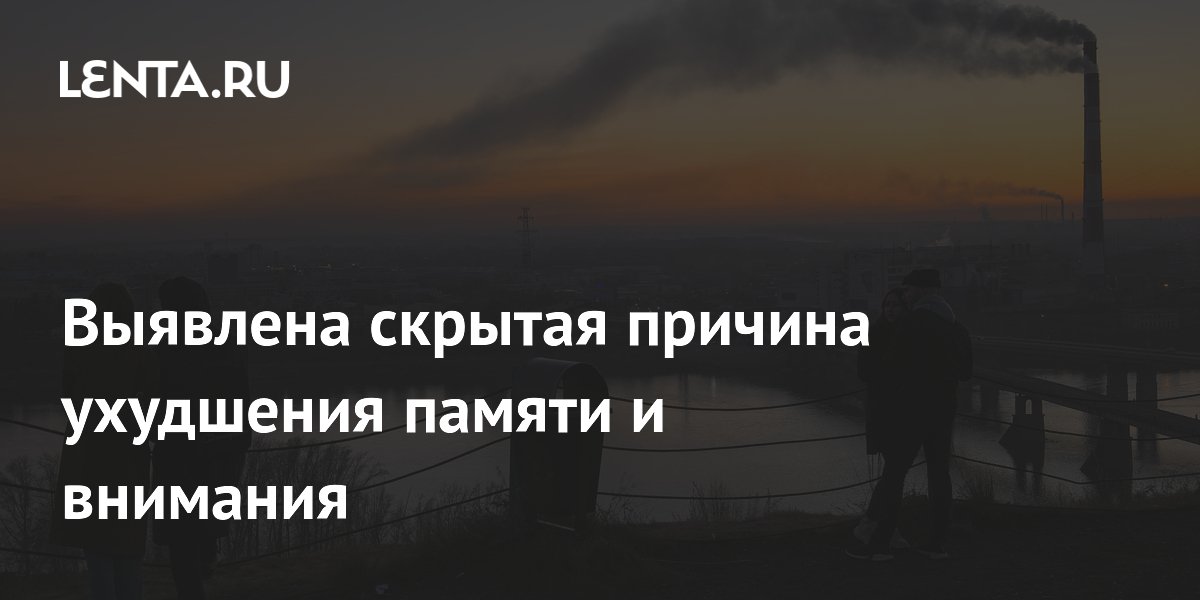 Ученые нашли скрытую причину ухудшения памяти: загрязненный воздух меняет работу мозга