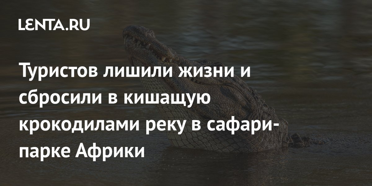 � ��� ����� ���� ��������-����������� � �������� ���� � ���� � �����������