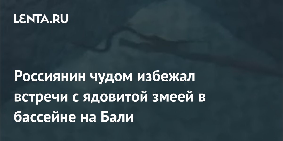 Российский турист на Бали едва не столкнулся с ядовитой коброй в бассейне виллы Российский турист на Бали едва не столкнулся с ядовитой коброй в бассейне виллы