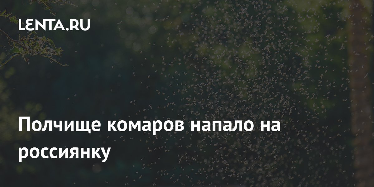 В Челябинске полчище комаров атаковало девушку на пробежке В Челябинске полчище комаров атаковало девушку на пробежке