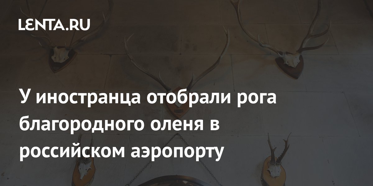У туриста изъяли рога благородного оленя в аэропорту Красноярска