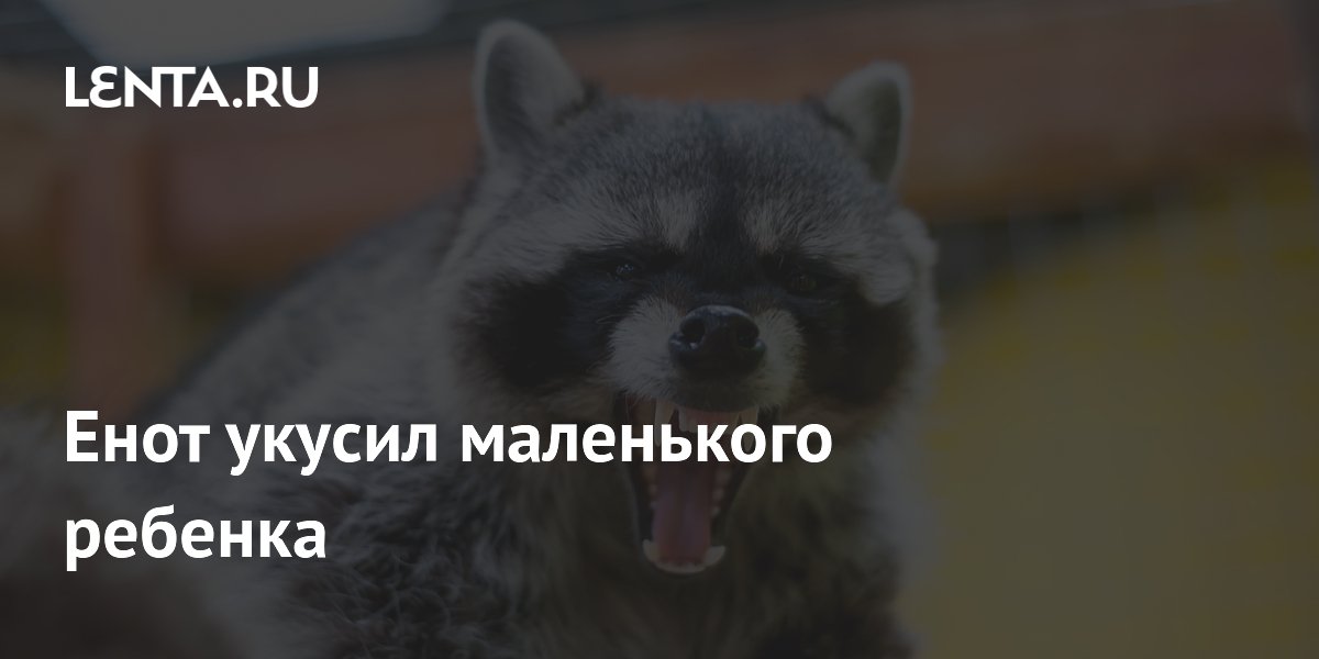 ���� ������ ������� �� �����: ��� �������� ������� � ��� ������ ��� ���������