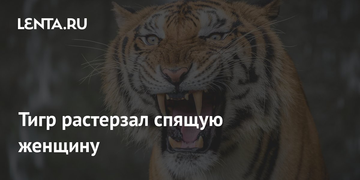 ���� ����� �� ������ ������� ��������� �������: ���� ������� �����